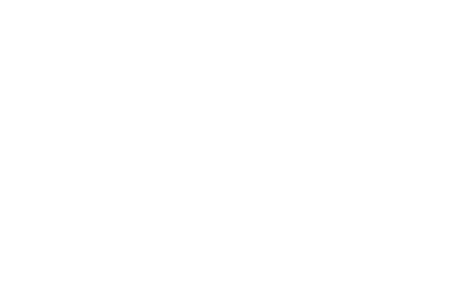 logo-AGIS-Conseil-Accélérateur-Numérique